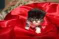 /album/fotogaleria-daddy/img-1310-jpg/