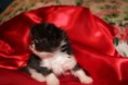 /album/fotogaleria-daddy/img-1316-jpg/